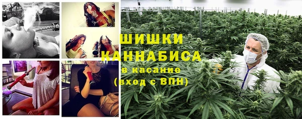 apvp Алзамай
