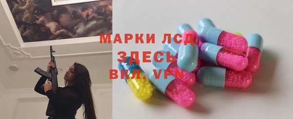 прущие грибы Михайловск