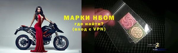 apvp Алзамай