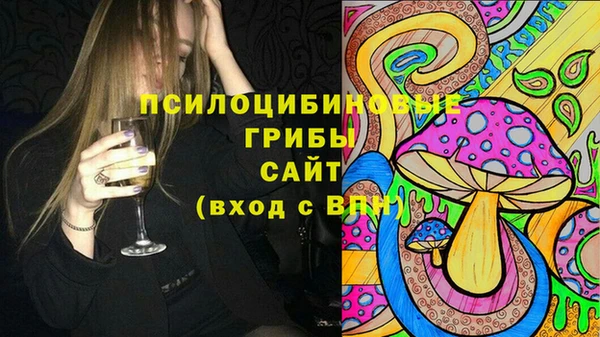 дурь Алексин