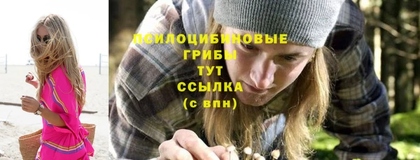 дурь Алексин