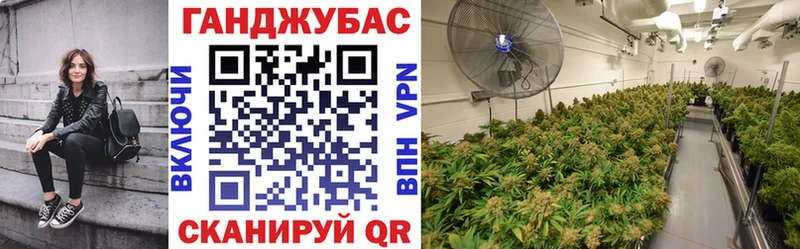 Бошки марихуана планчик наркотики Киров